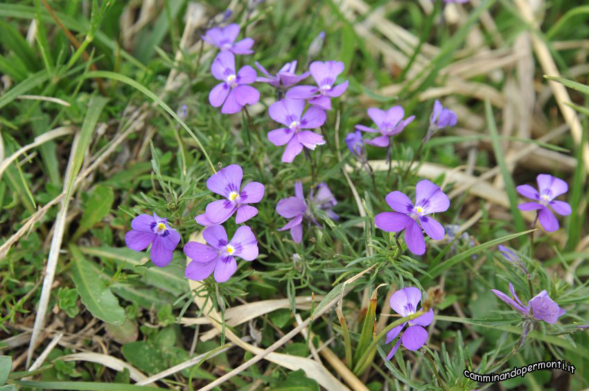 096 Periplo del Grem.JPG